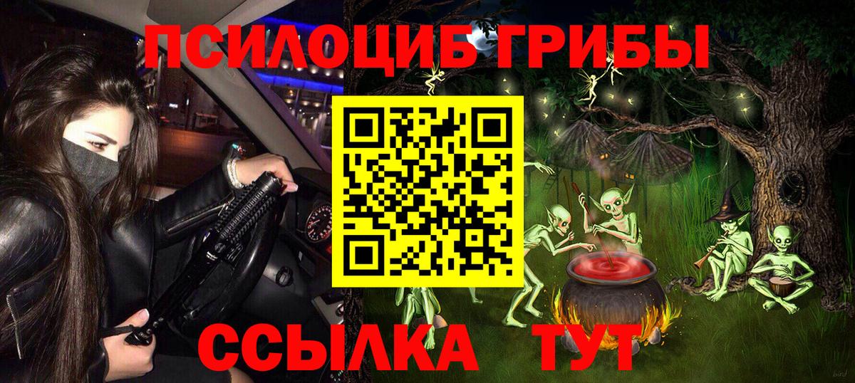Елизово  где можно купить   Вход с VPN  Галлюциногенные грибы GOLDEN TEACHER 