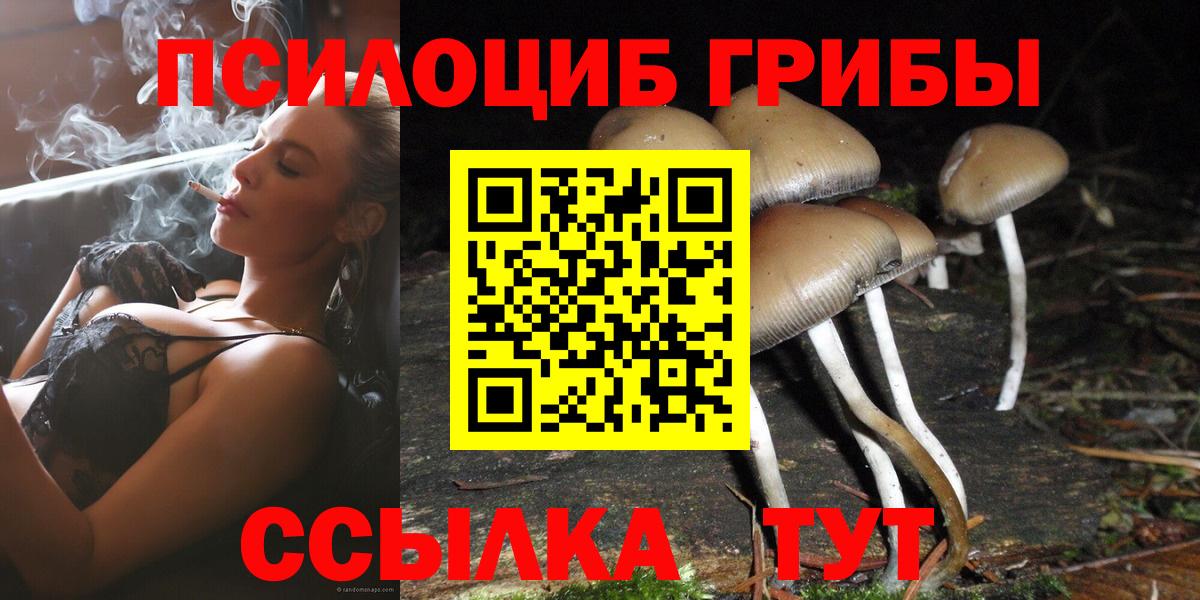 Галлюциногенные грибы Psilocybine cubensis Елизово